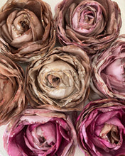 Carica l'immagine nel visualizzatore di Gallery, Peonie